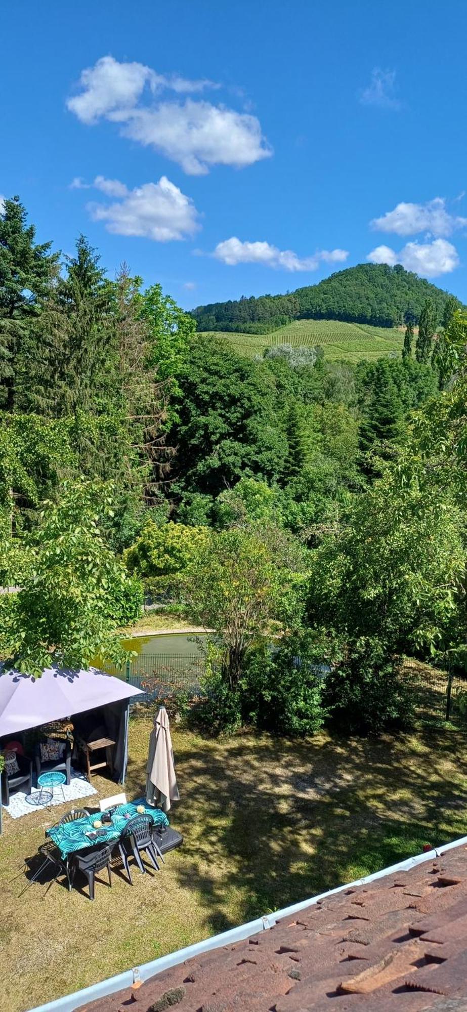 Studio Dans Belle Maison Ancienne Et Jardin Ferme L'Etoile  Bagian luar foto